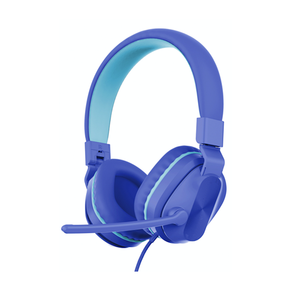 Phone Headsets in the Call Center