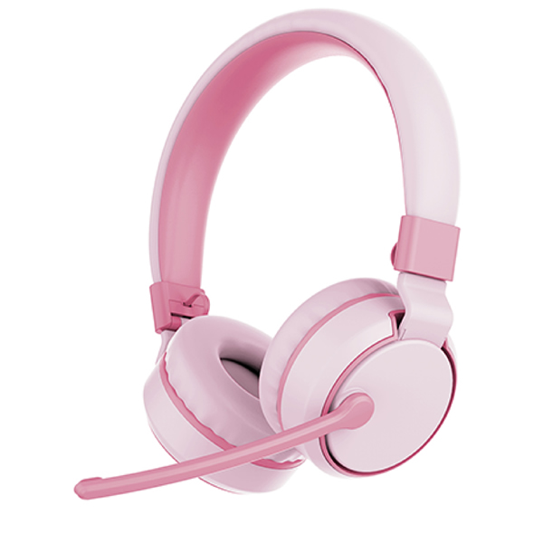 PC Wireless On Ear Headphone