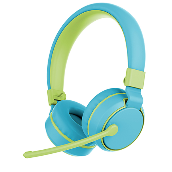 PC Wireless On Ear Headphone