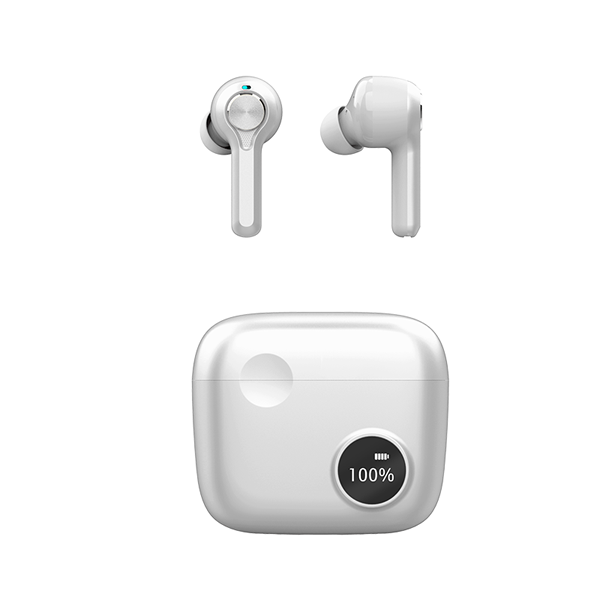 Hybrid Active Noise Cancelling True Wireless Stereo Earbuds (ANC TWS)