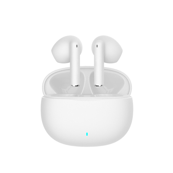 True Wireless Stereo Earbuds (TWS)