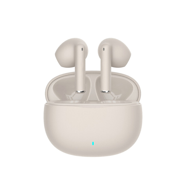 True Wireless Stereo Earbuds (TWS)