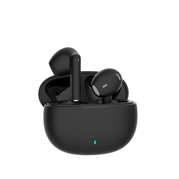 True Wireless Stereo Earbuds (TWS)