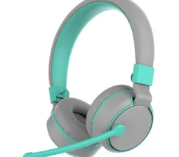 PC Wireless On Ear Headphone