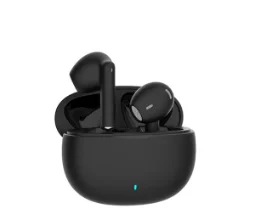 True Wireless Stereo Earbuds (TWS)